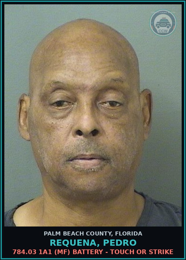 Booking mugshot of REQUENA, PEDRO in Palm Beach County