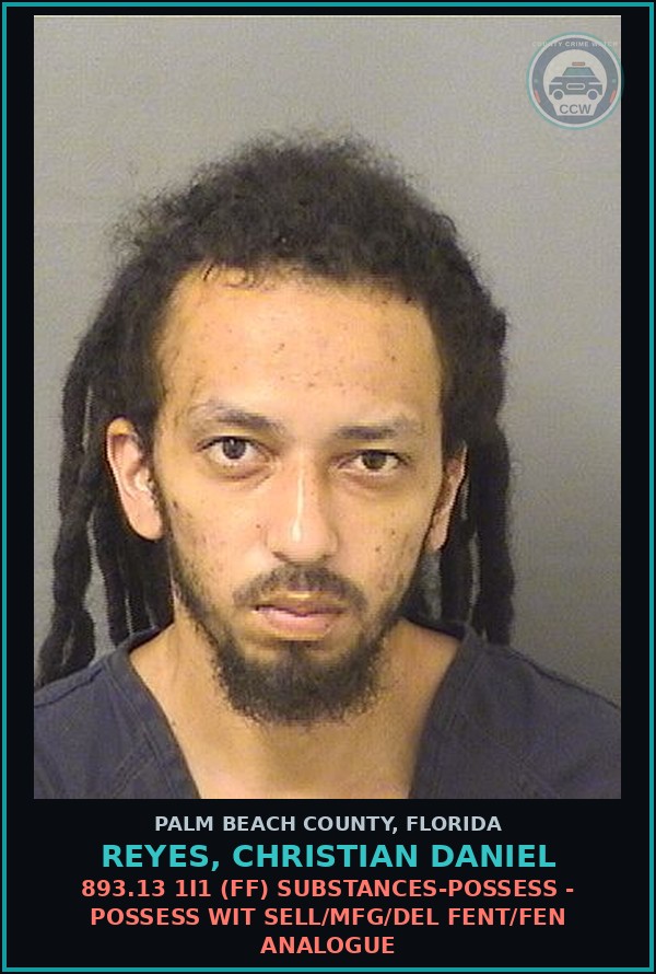 Booking mugshot of REYES, CHRISTIAN DANIEL in Palm Beach County