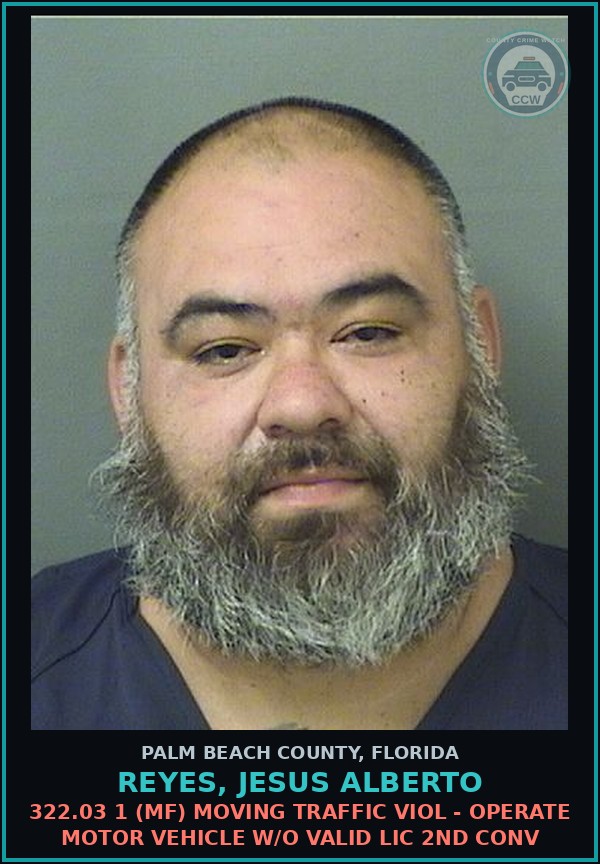 Booking mugshot of REYES, JESUS ALBERTO in Palm Beach County