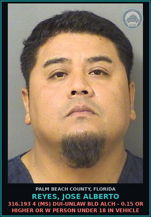 Booking mugshot of REYES, JOSE ALBERTO in Palm Beach County