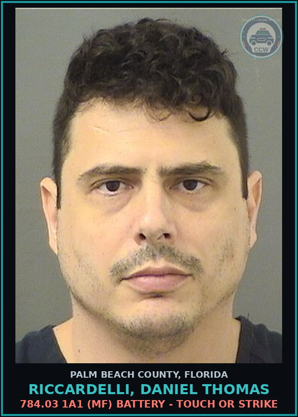 Booking mugshot of RICCARDELLI, DANIEL THOMAS in Palm Beach County
