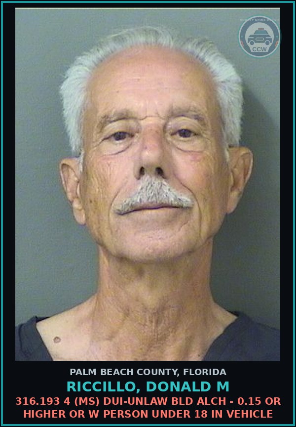 Booking mugshot of RICCILLO, DONALD M in Palm Beach County