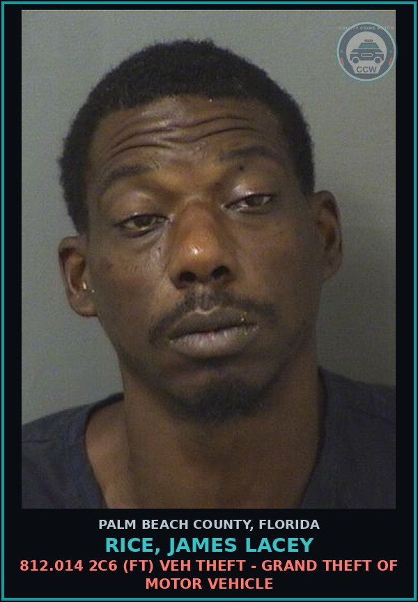 Booking mugshot of RICE, JAMES LACEY in Palm Beach County