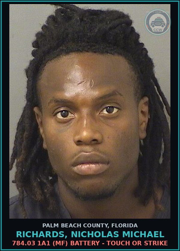 Booking mugshot of RICHARDS, NICHOLAS MICHAEL in Palm Beach County