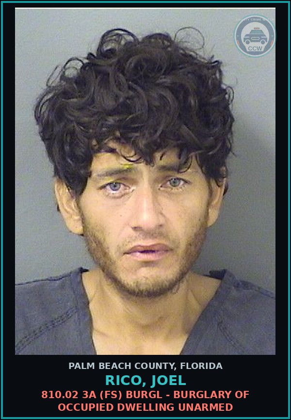 Booking mugshot of RICO, JOEL in Palm Beach County