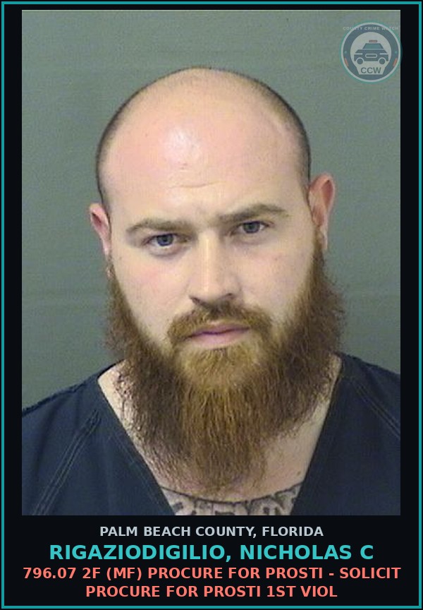 Booking mugshot of RIGAZIODIGILIO, NICHOLAS C in Palm Beach County