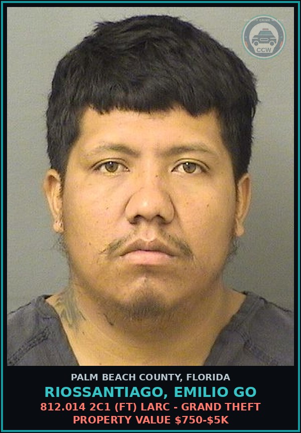 Booking mugshot of RIOSSANTIAGO, EMILIO GO in Palm Beach County
