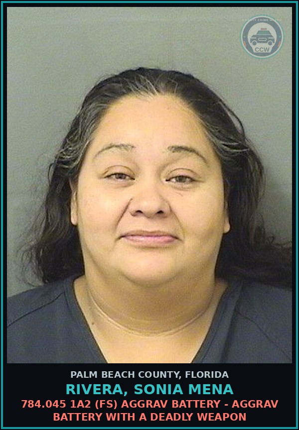 Booking mugshot of RIVERA, SONIA MENA in Palm Beach County