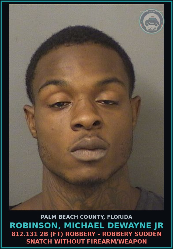 Booking mugshot of ROBINSON, MICHAEL DEWAYNE Jr in Palm Beach County