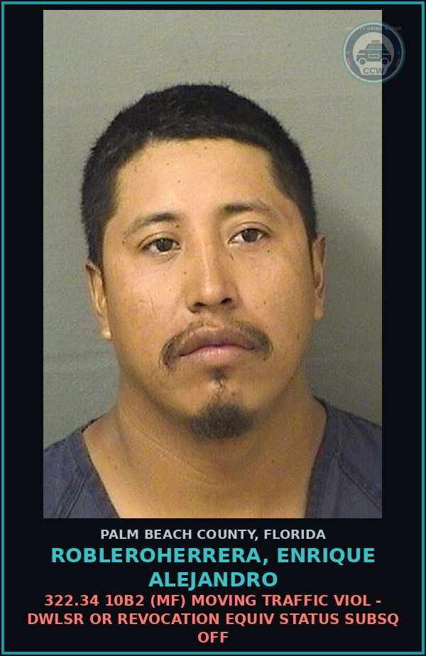 Booking mugshot of ROBLEROHERRERA, ENRIQUE ALEJANDRO in Palm Beach County
