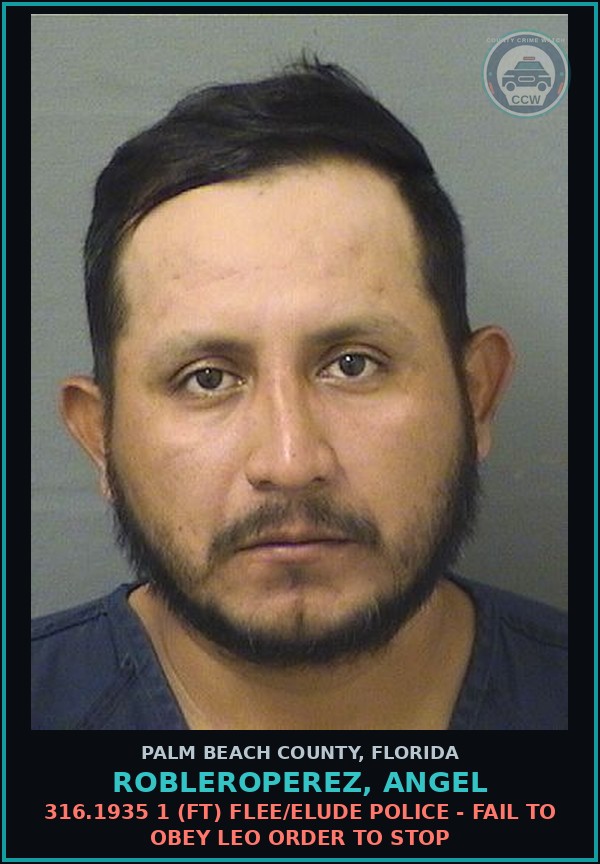 Booking mugshot of ROBLEROPEREZ, ANGEL in Palm Beach County