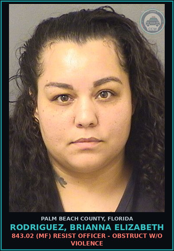 Booking mugshot of RODRIGUEZ, BRIANNA ELIZABETH in Palm Beach County