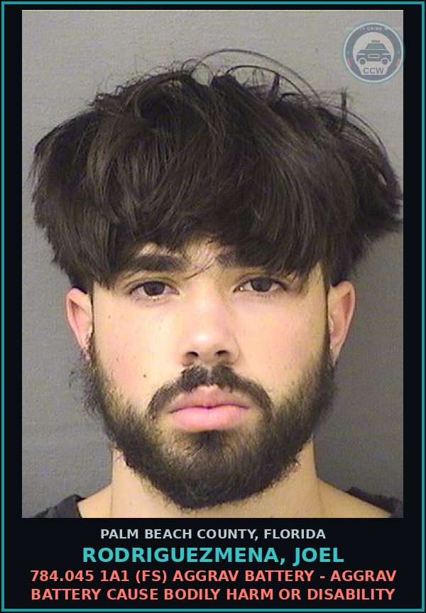 Booking mugshot of RODRIGUEZMENA, JOEL in Palm Beach County