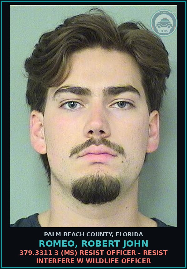 Booking mugshot of ROMEO, ROBERT JOHN in Palm Beach County