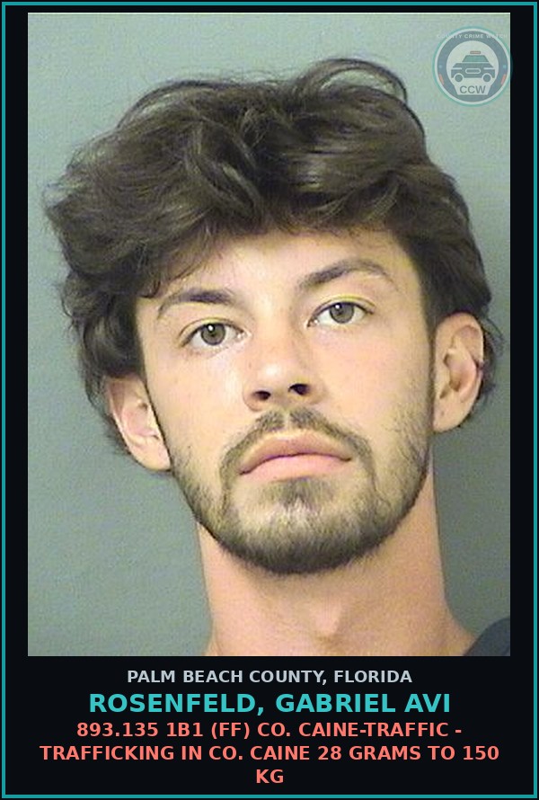 Booking mugshot of ROSENFELD, GABRIEL AVI in Palm Beach County