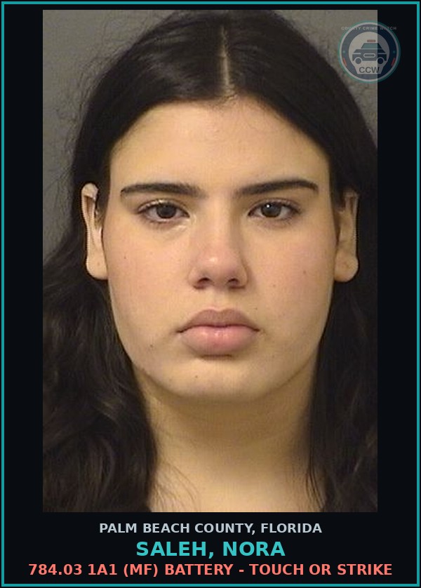 Booking mugshot of SALEH, NORA in Palm Beach County