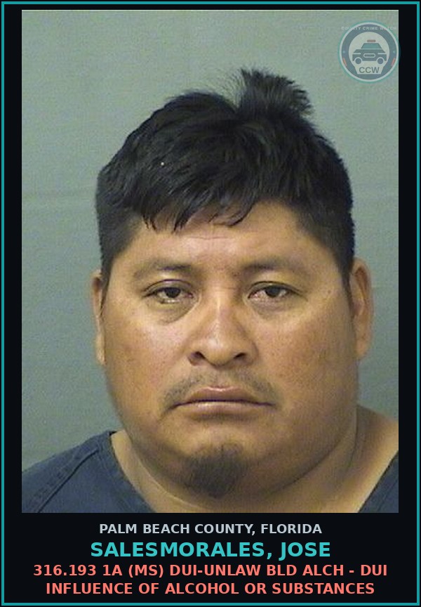Booking mugshot of SALESMORALES, JOSE in Palm Beach County