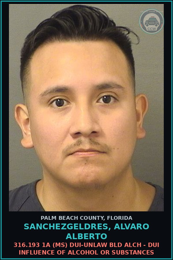 Booking mugshot of SANCHEZGELDRES, ALVARO ALBERTO in Palm Beach County