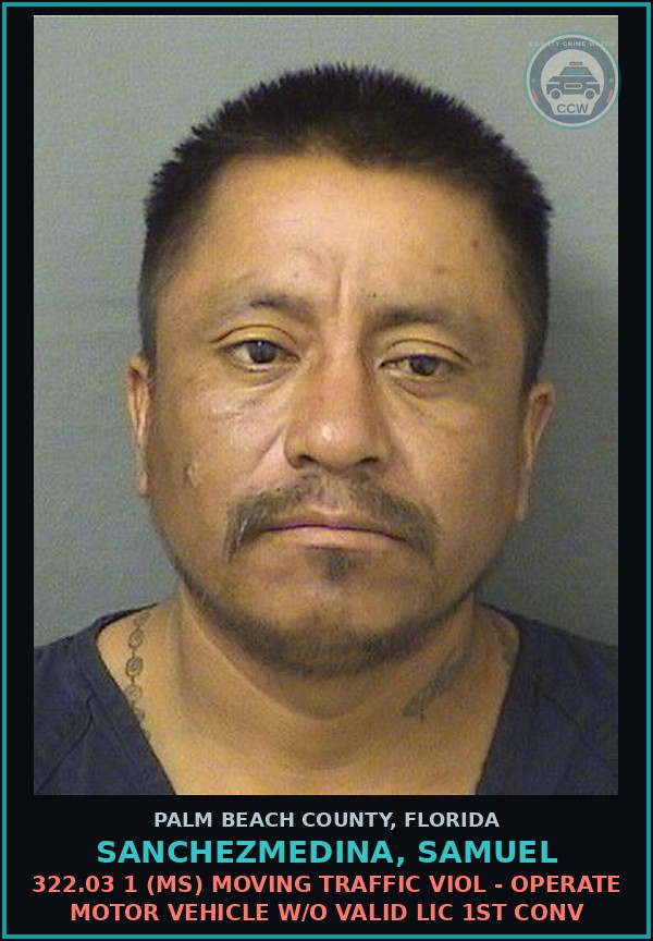 Booking mugshot of SANCHEZMEDINA, SAMUEL in Palm Beach County