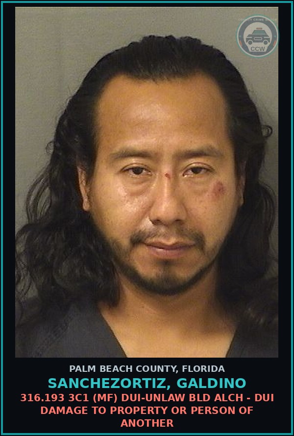 Booking mugshot of SANCHEZORTIZ, GALDINO in Palm Beach County