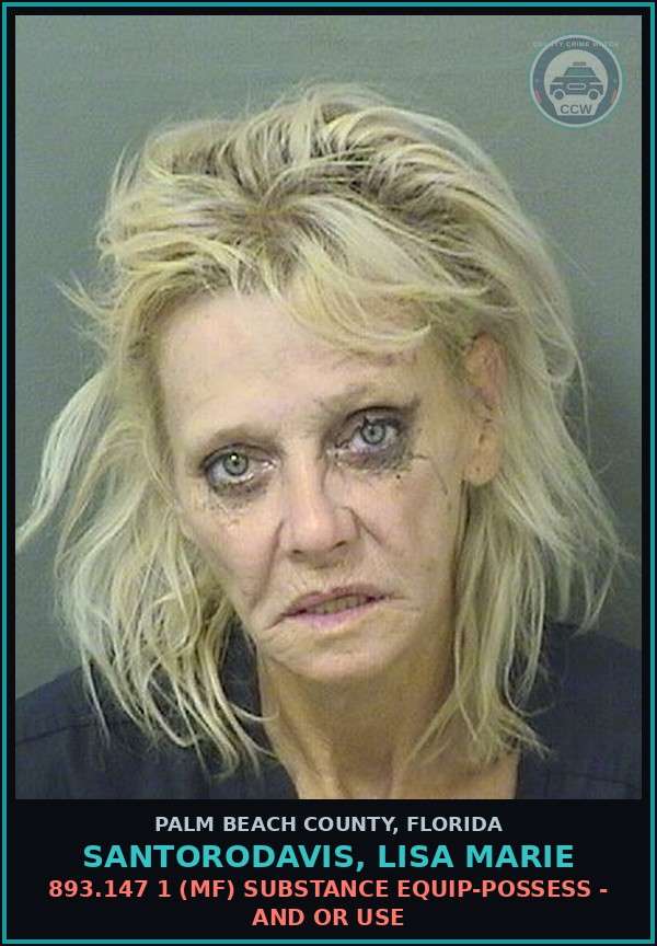 Booking mugshot of SANTORODAVIS, LISA MARIE in Palm Beach County