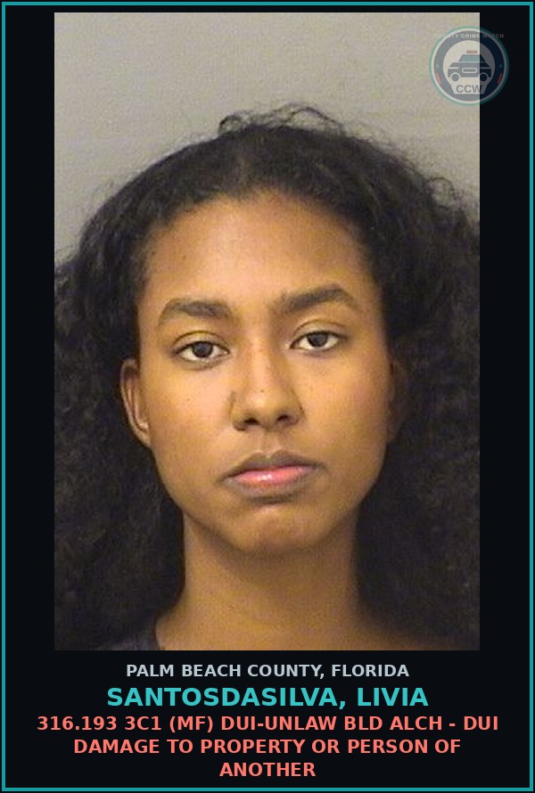 Booking mugshot of SANTOSDASILVA, LIVIA in Palm Beach County