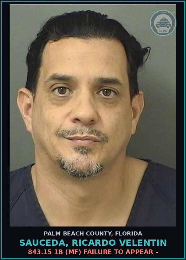 Booking mugshot of SAUCEDA, RICARDO VELENTIN in Palm Beach County