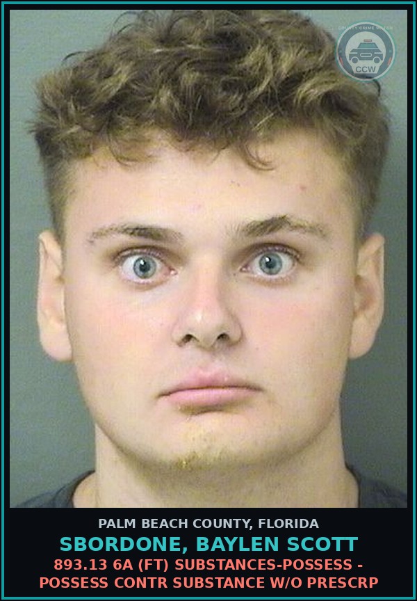 Booking mugshot of SBORDONE, BAYLEN SCOTT in Palm Beach County