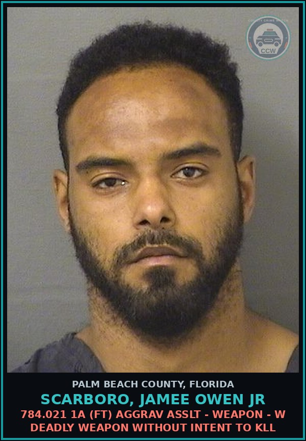 Booking mugshot of SCARBORO, JAMEE OWEN Jr in Palm Beach County
