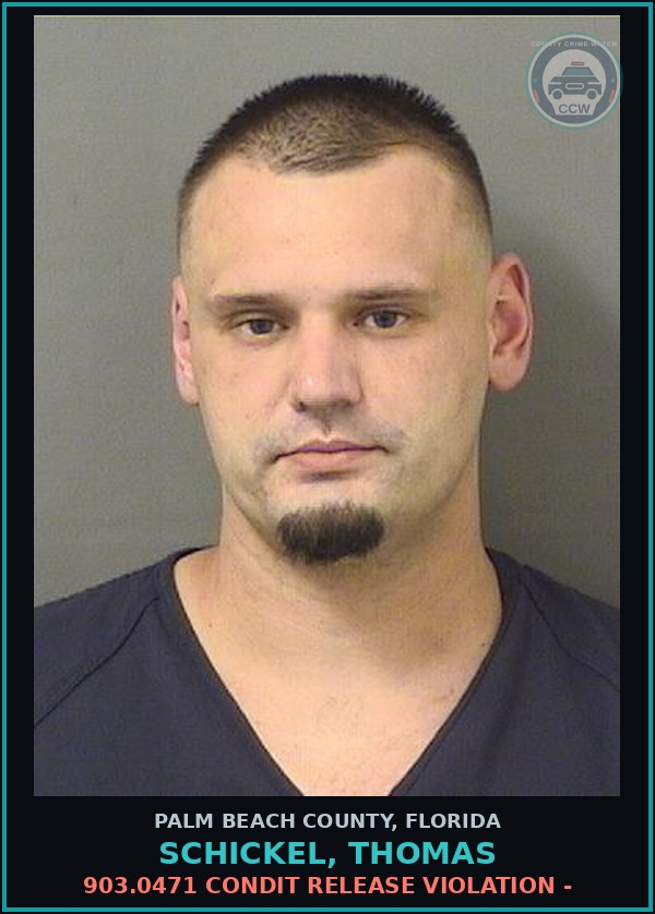 Booking mugshot of SCHICKEL, THOMAS in Palm Beach County