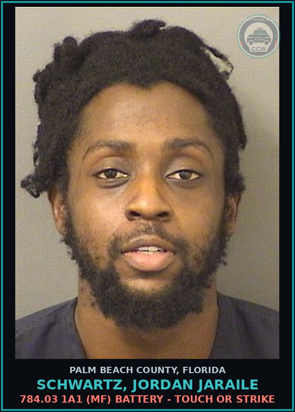 Booking mugshot of SCHWARTZ, JORDAN JARAILE in Palm Beach County
