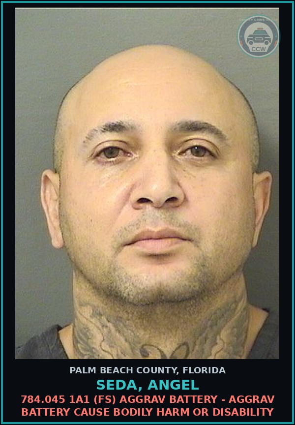 Booking mugshot of SEDA, ANGEL in Palm Beach County