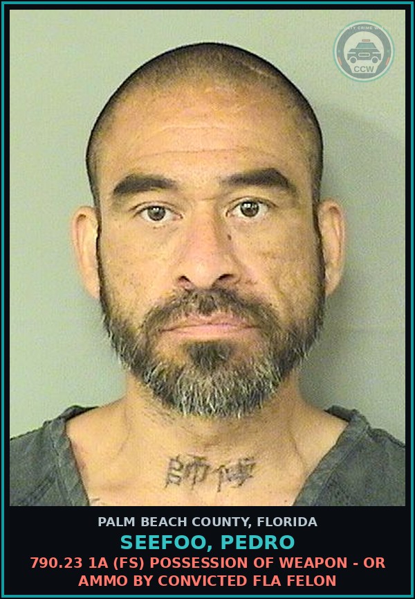 Booking mugshot of SEEFOO, PEDRO in Palm Beach County