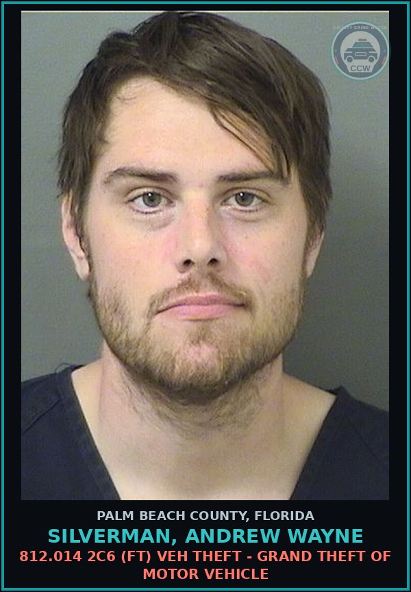 Booking mugshot of SILVERMAN, ANDREW WAYNE in Palm Beach County