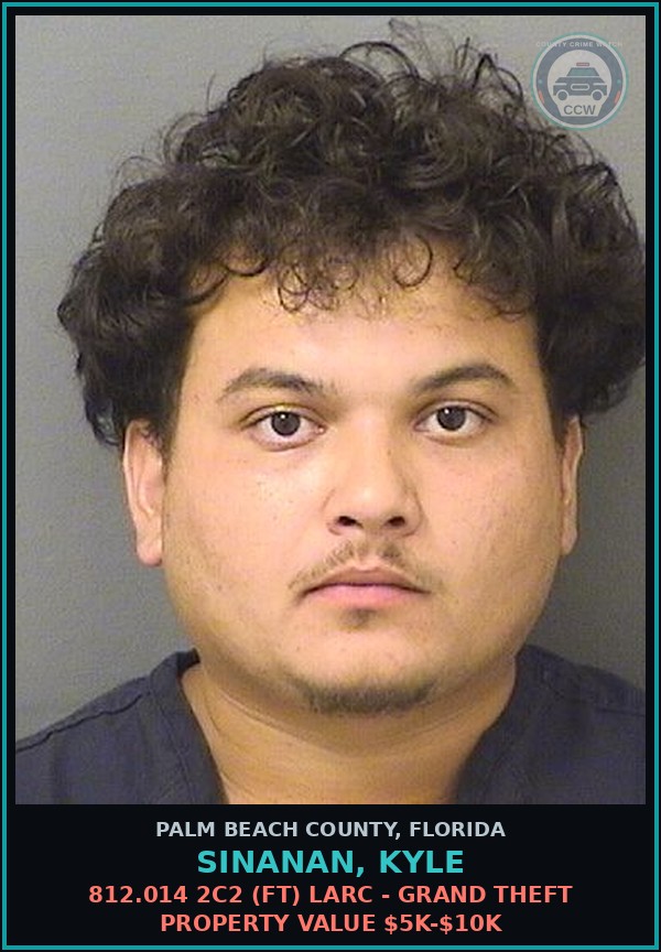 Booking mugshot of SINANAN, KYLE in Palm Beach County