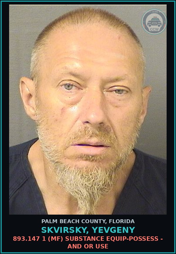 Booking mugshot of SKVIRSKY, YEVGENY in Palm Beach County
