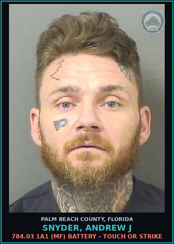 Booking mugshot of SNYDER, ANDREW J in Palm Beach County