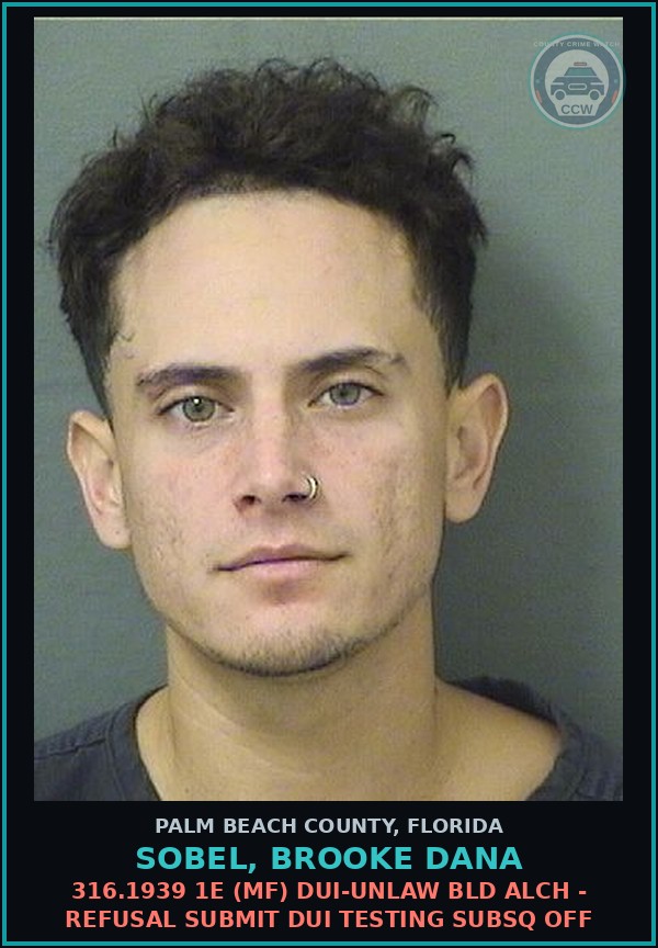 Booking mugshot of SOBEL, BROOKE DANA in Palm Beach County