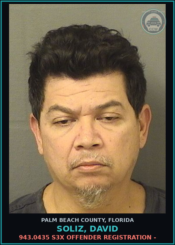 Booking mugshot of SOLIZ, DAVID in Palm Beach County