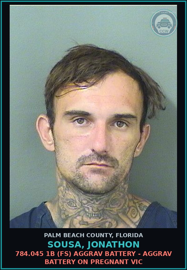 Booking mugshot of SOUSA, JONATHON in Palm Beach County