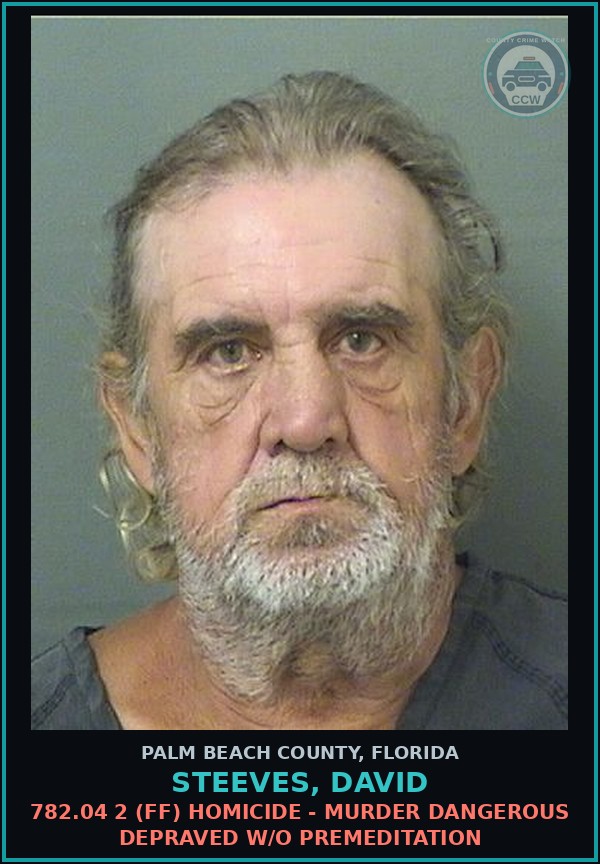 Booking mugshot of STEEVES, DAVID in Palm Beach County