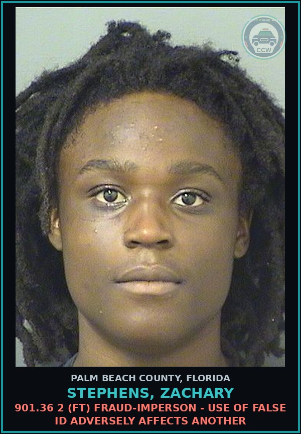 Booking mugshot of STEPHENS, ZACHARY in Palm Beach County