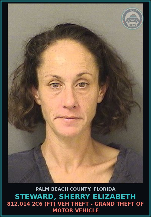 Booking mugshot of STEWARD, SHERRY ELIZABETH in Palm Beach County