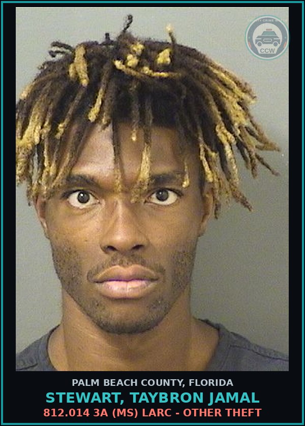 Booking mugshot of STEWART, TAYBRON JAMAL in Palm Beach County