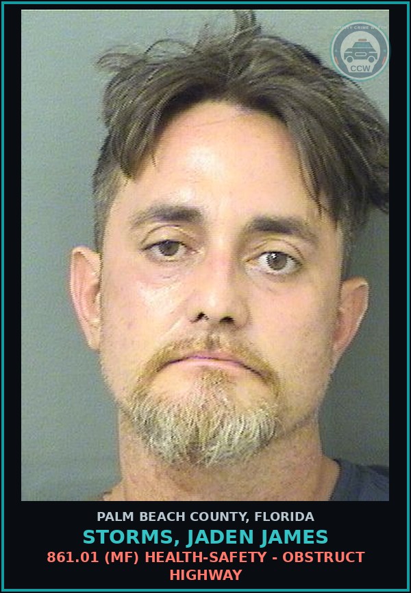 Booking mugshot of STORMS, JADEN JAMES in Palm Beach County