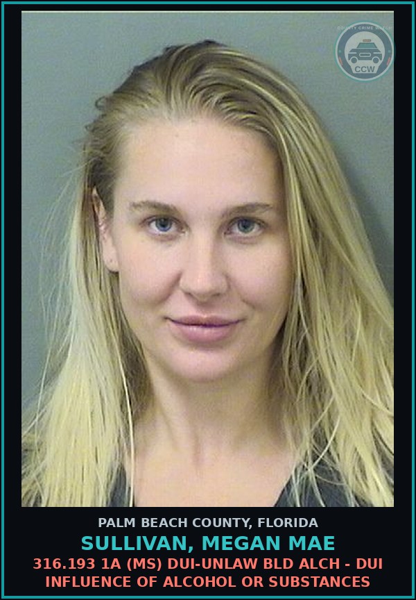 Booking mugshot of SULLIVAN, MEGAN MAE in Palm Beach County