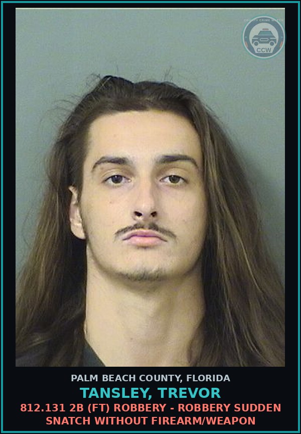 Booking mugshot of TANSLEY, TREVOR in Palm Beach County
