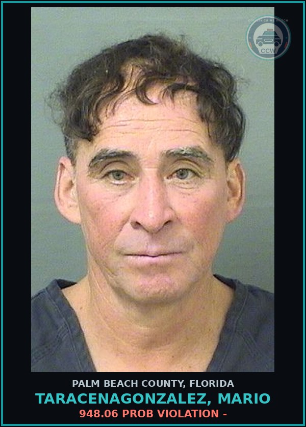 Booking mugshot of TARACENAGONZALEZ, MARIO in Palm Beach County