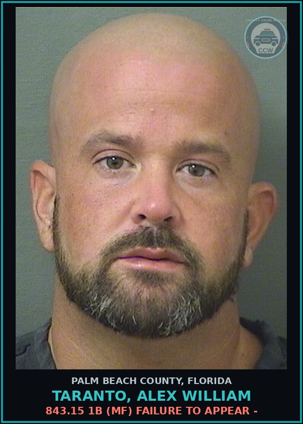 Booking mugshot of TARANTO, ALEX WILLIAM in Palm Beach County