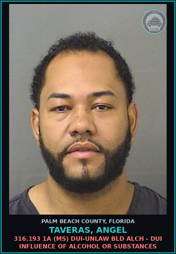 Booking mugshot of TAVERAS, ANGEL in Palm Beach County
